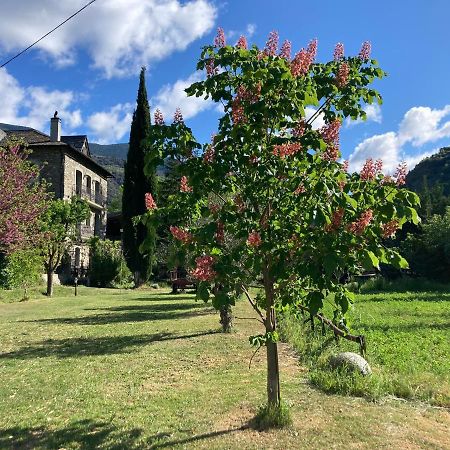 El Cau De Cal Quimet Lägenhet Rialp Exteriör bild